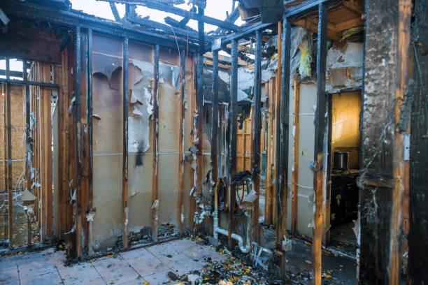 Professional Odor Removal technician working in Bernice, LA